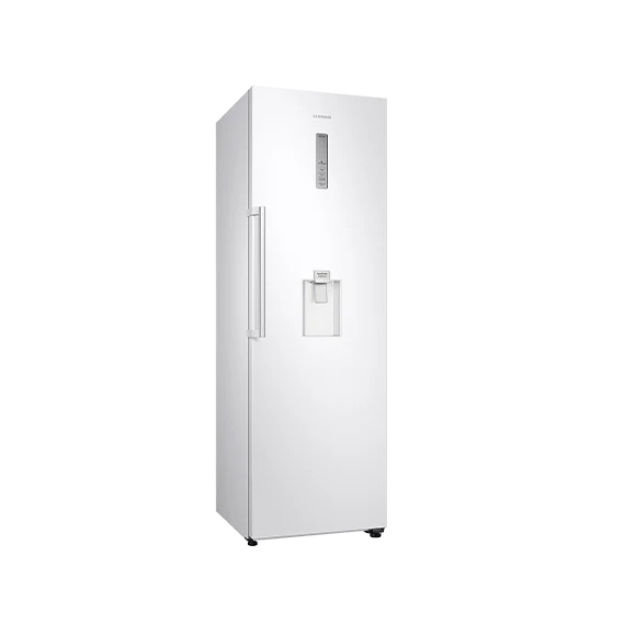 ONE-DOOR RR39M7310WW/SG 2