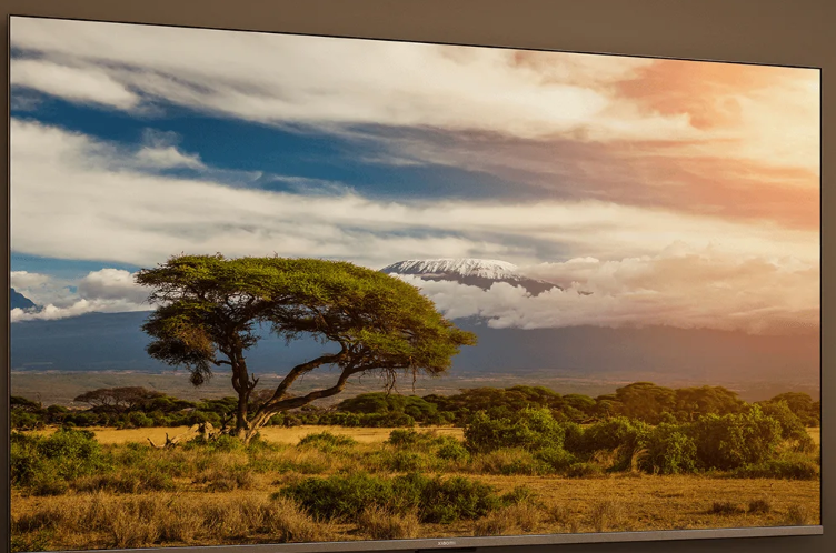 Xiaomi TV A 55 2026 2